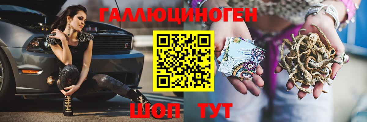 Псилоцибиновые грибы GOLDEN TEACHER  Вход с VPN  наркошоп  Галлюциногенные грибы Cubensis  Электрогорск 